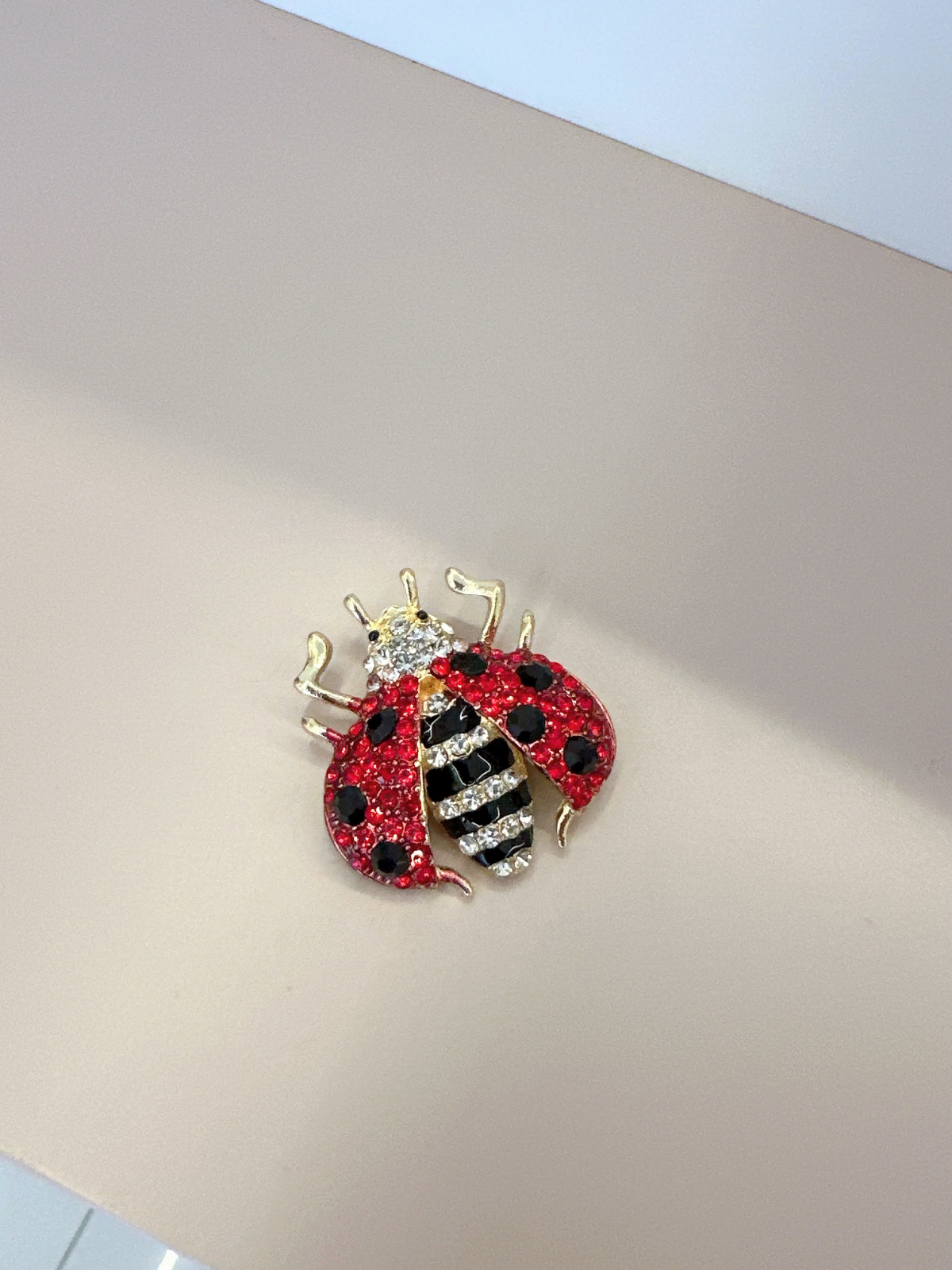 Imagem Broche joaninha vermelha 