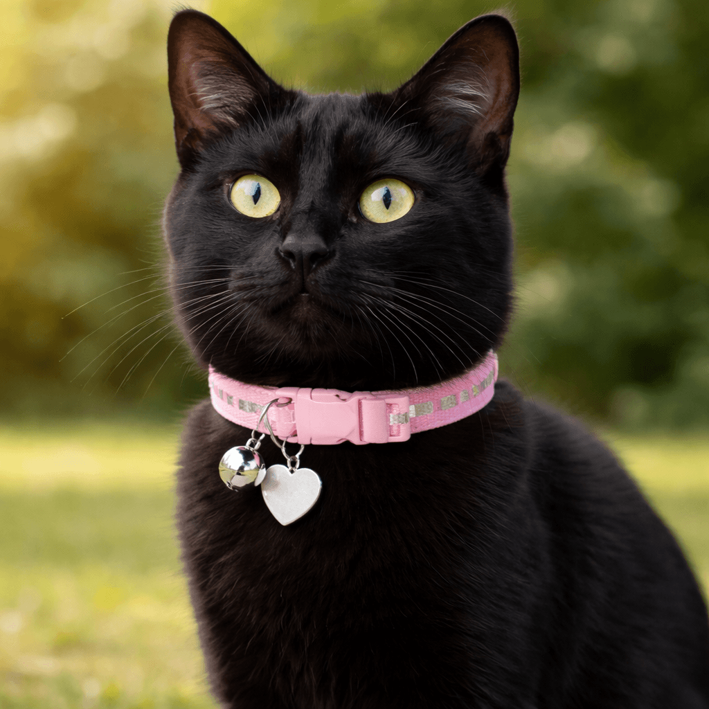 Imagem 2 Coleira Black para Gatos