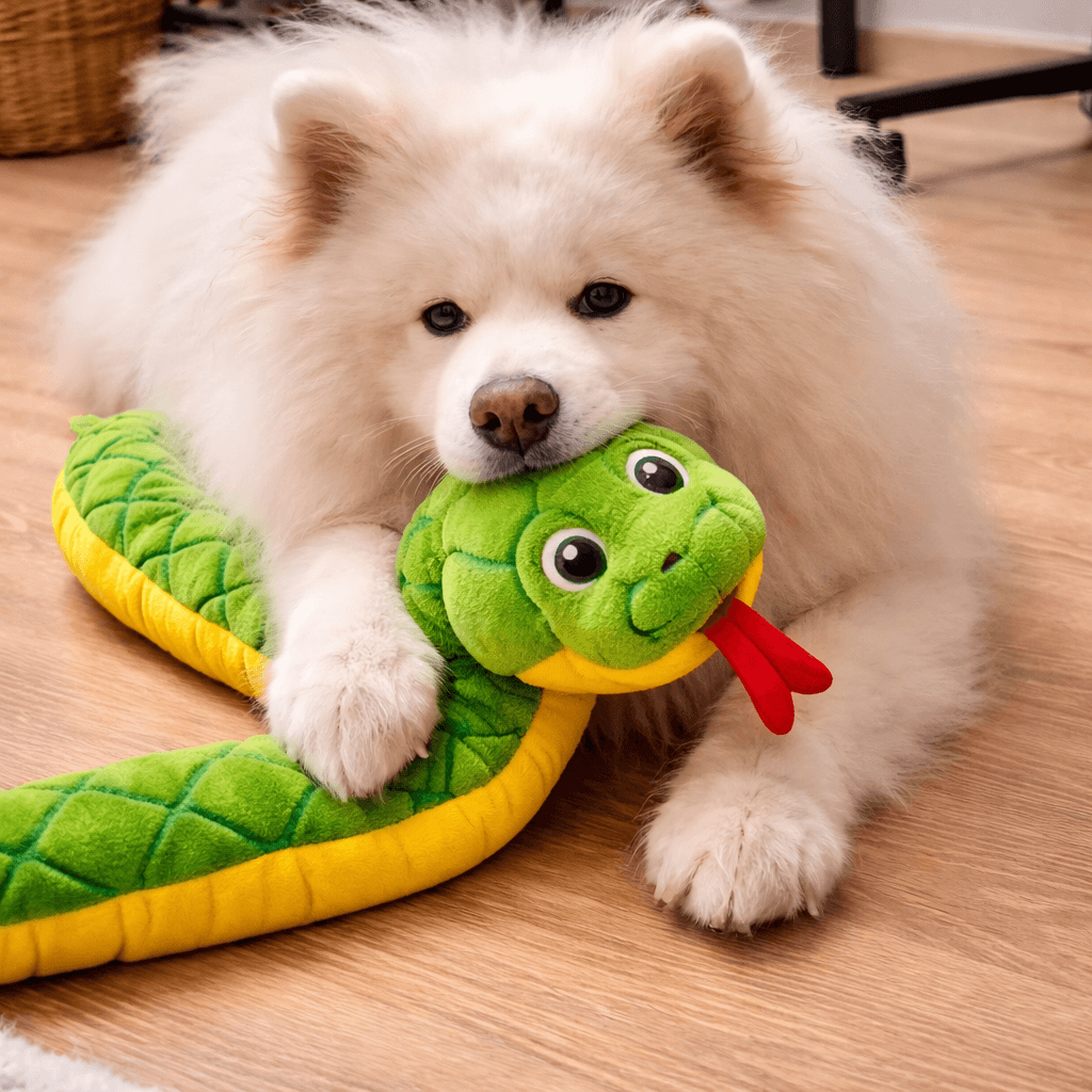 Imagem Pelúcia Serpente para Cães