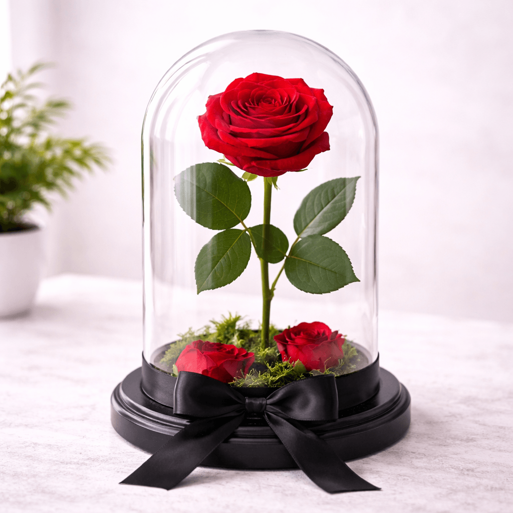 Imagem Rosa Encantada