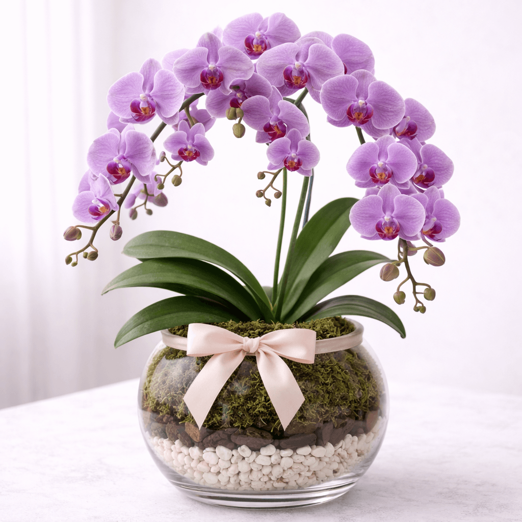 Imagem 1 Orquídea Cascata no Vidro